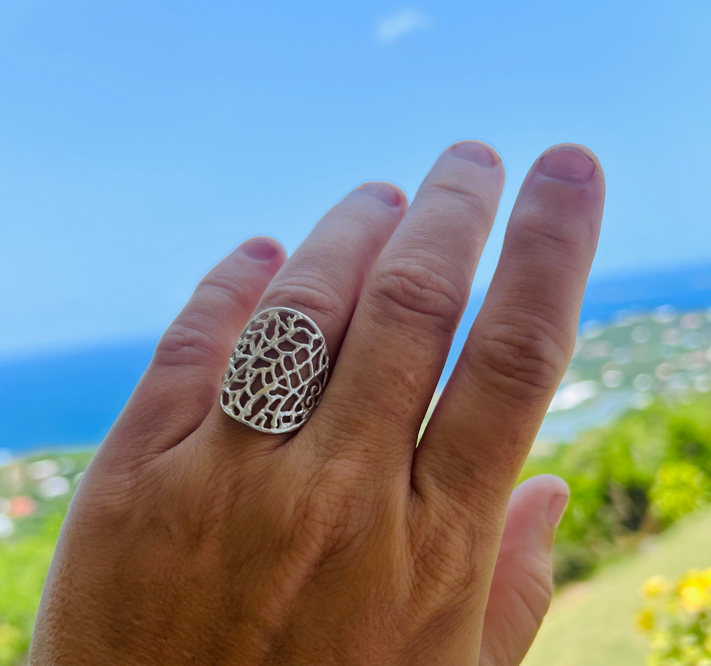 Hand wearing a silver ring with a patterned design against a scenic background