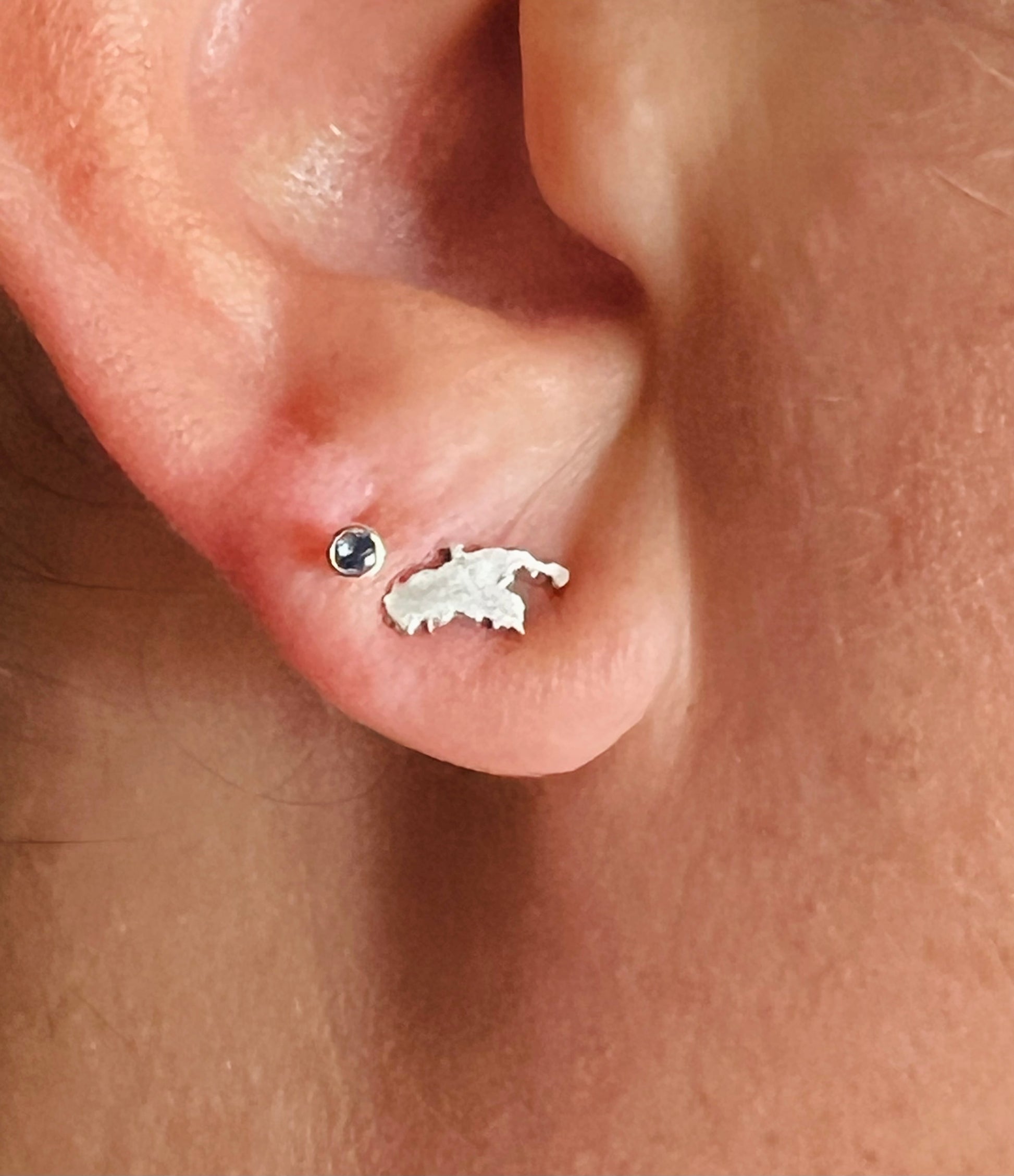 The perfect stud earrings!