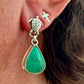 Turtle Turquoise Earrings (b)
